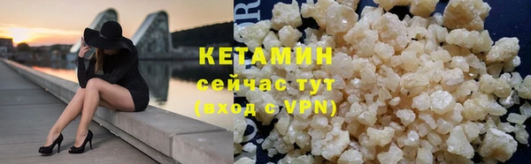 индика Заводоуковск