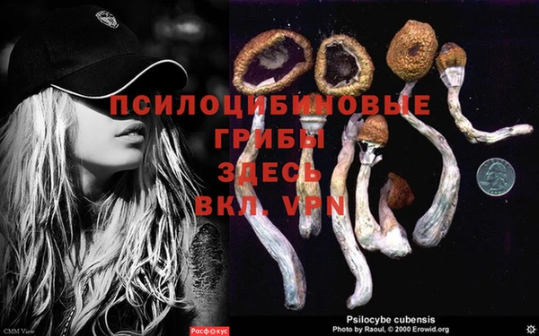 круглые Дмитров