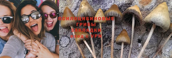 гашишное масло Дмитриев