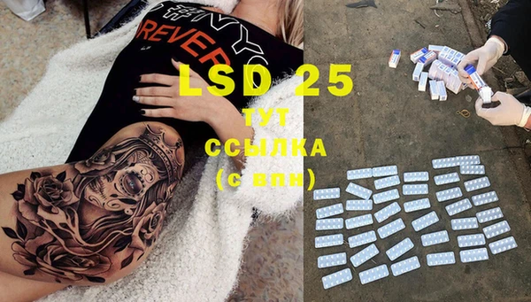 spice Елабуга