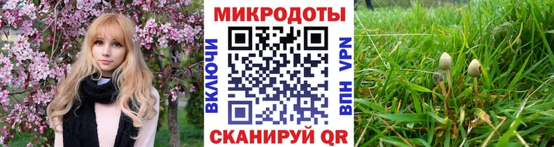 Галлюциногенные грибы Psilocybe  Ковылкино 